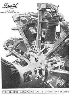 Sectioned: Bristol Pegasus Aero Engine (Sectioned)