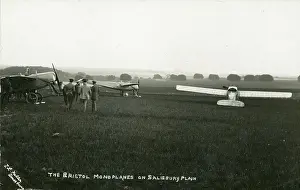 Monoplanes: Bristol-Prier and Coanda Monoplanes on Salisbury Plain