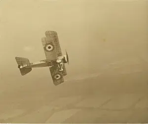 Bristol Scout D 8980