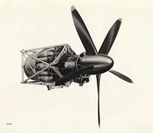 Theseus: Bristol Theseus I turboprop