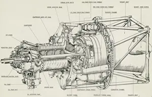 Theseus: Bristol Theseus turboprop cutaway drawing