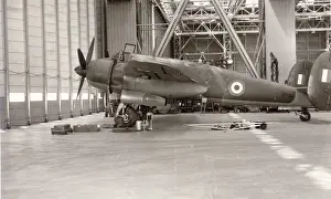 Buckmaster: Bristol Type 166 Buckmaster I, RP151