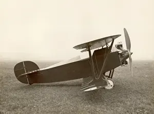 Babe: Bristol Type 30 Babe I
