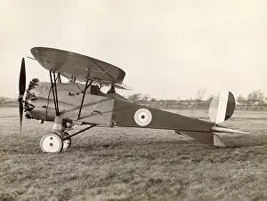 Bristol Type 52 Bullfinch I