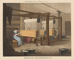 Barfoot: British 1840s depiction the Progress of Cotton