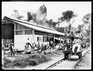 Colonials: BRITISH IN AFRICA/MILL