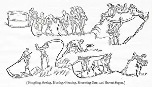 Scattering: British Agriculture -- various activities