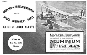 Vildebeest: British Aluminium Vickers Vildebeest