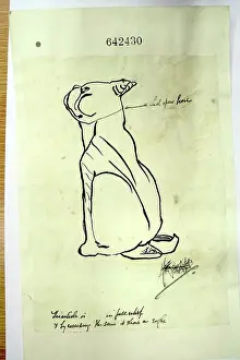 Downside: British bulldog with Bow, Bow, Bow around his neck