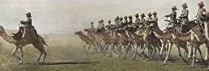 Soudan: British Camel Corps in the Sudan, 1916