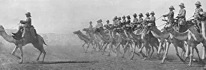 Soudan: British Camel Corps in the Sudan, 1916