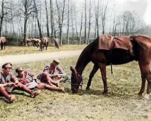Cavalrymen: British cavalrymen with grazing horse, Western Front, WW1