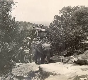 Colonials: British colonials enjoying an excursion by elepant, India