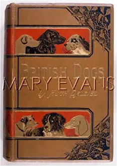 Dalziel: BRITISH DOGS