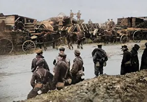 Mules: British engineering dump, Western Front, WW1
