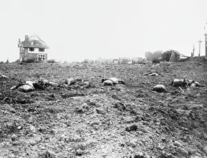 Monchy: British front in France in 1917