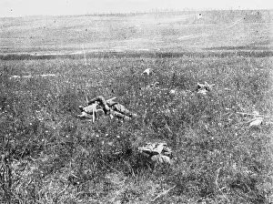 Pear: British Front in France, 1918