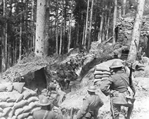 Baccarat: British Front in France, 1918