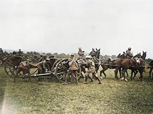 British horse artillery in action or training, WW1