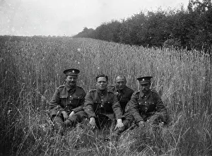 Cornfield: Four British Infantrymen relax in a cornfield