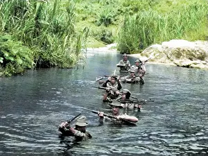 Malayan: British Insurgency Anniversary