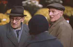 Triennale: The British at Leisure series -- elderly men