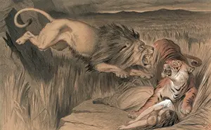 Pouncing: The British lion's vengence on the Bengal tiger
