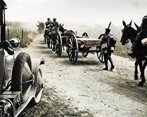 Dusty: British machine gun transport, Western Front, WW1