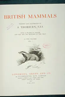 Burrow: British Mammals Title Page