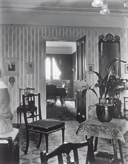 Aspidistra: British middle class interior