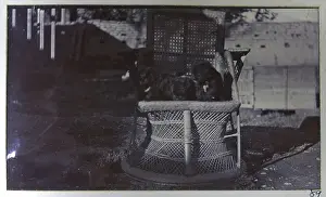 British Military Campaign to Tibet