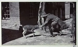 Hayman: British Military Campaign to Tibet