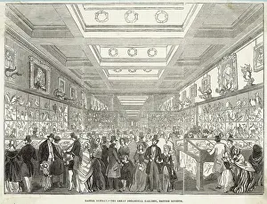 British Museum - Zoological Gallery