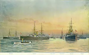 Magnificent: British naval ships by W Fred Mitchell