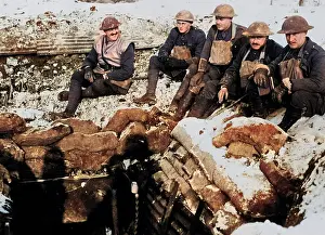 Corrugated: British officers outside dugout, Western Front, WW1
