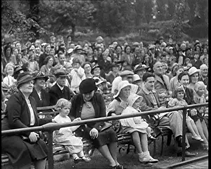 Chimpanzees: British People Watching Chimpanzees Having