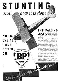 Stunting: British Petroleum BP - Stunting: The Falling Leaf
