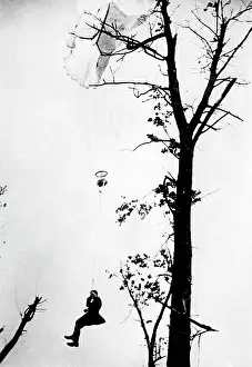 Unhappily: British pilot in the First World War, 1917