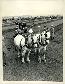 Shillingford: British Ploughing Championship, Shillingford, Oxfordshire