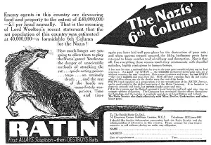 Ratin: British Ratin Rodent Control