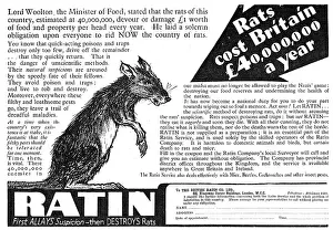 Ratin: British Ratin Rodent Control