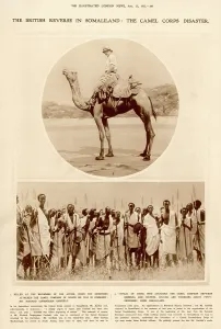 Conyngham: The British reverse in Somaliland: the camel corps disaster