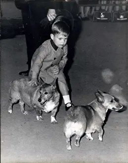 Corgis: British Royal Family