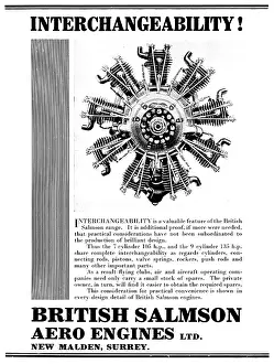 Salmson: British Salmson