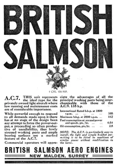 Salmson: British Salmson AC7 Aero Engine