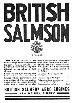 Salmson: British Salmson AD9 Aero Engine
