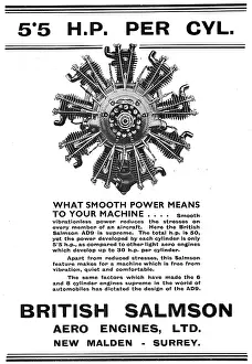 Salmson: British Salmson AD9 Aero Engine