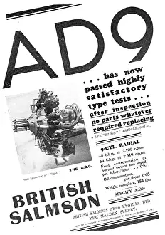 Salmson: British Salmson AD9 Aero Engine
