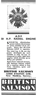 Salmson: British Salmson AD9 Aero Engine