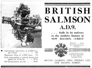 Salmson: British Salmson AD9 Radial Aero Engine